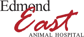 EEAH Logo Text