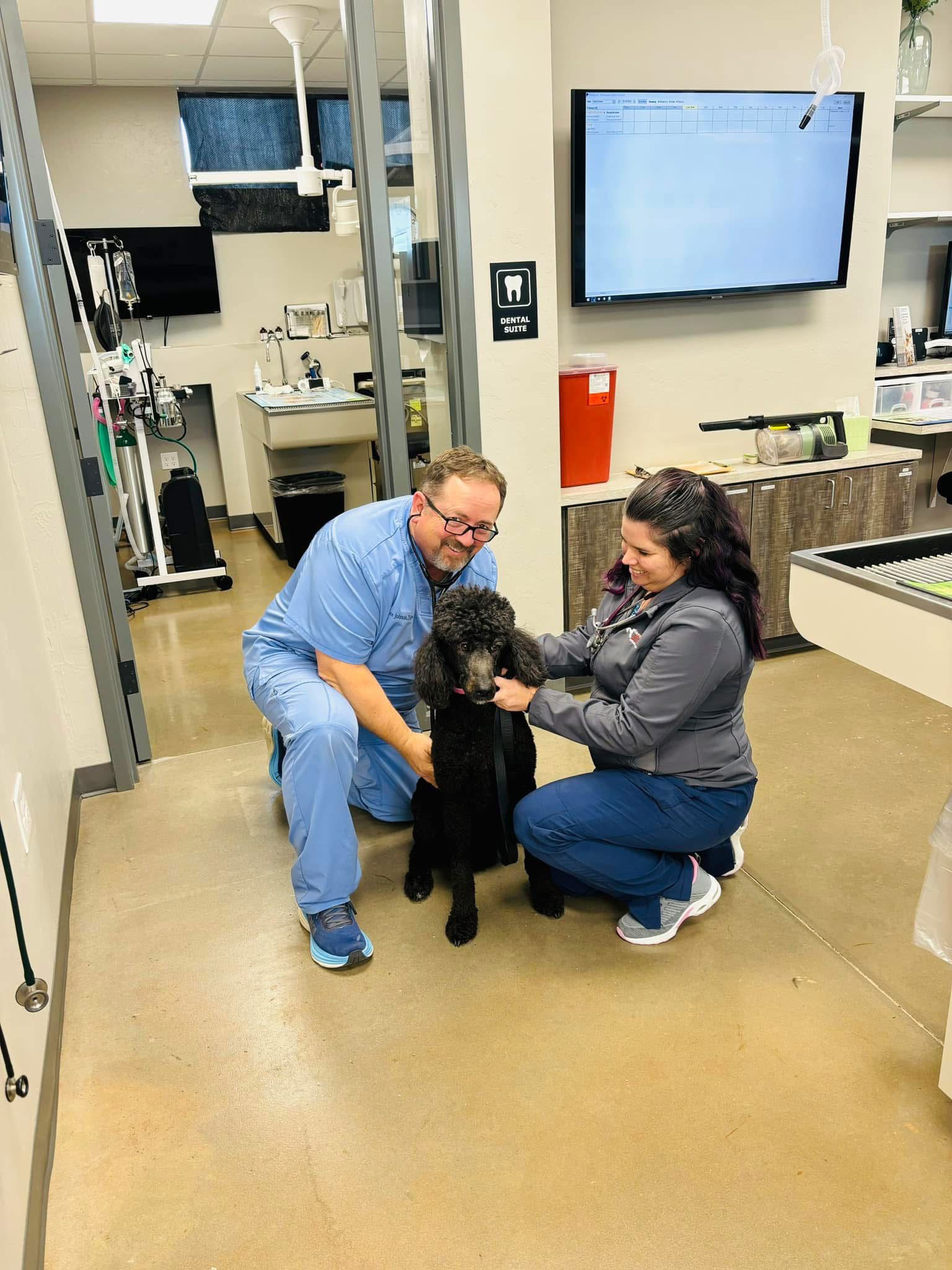 Doctor and Assistant With Curly Black Dog