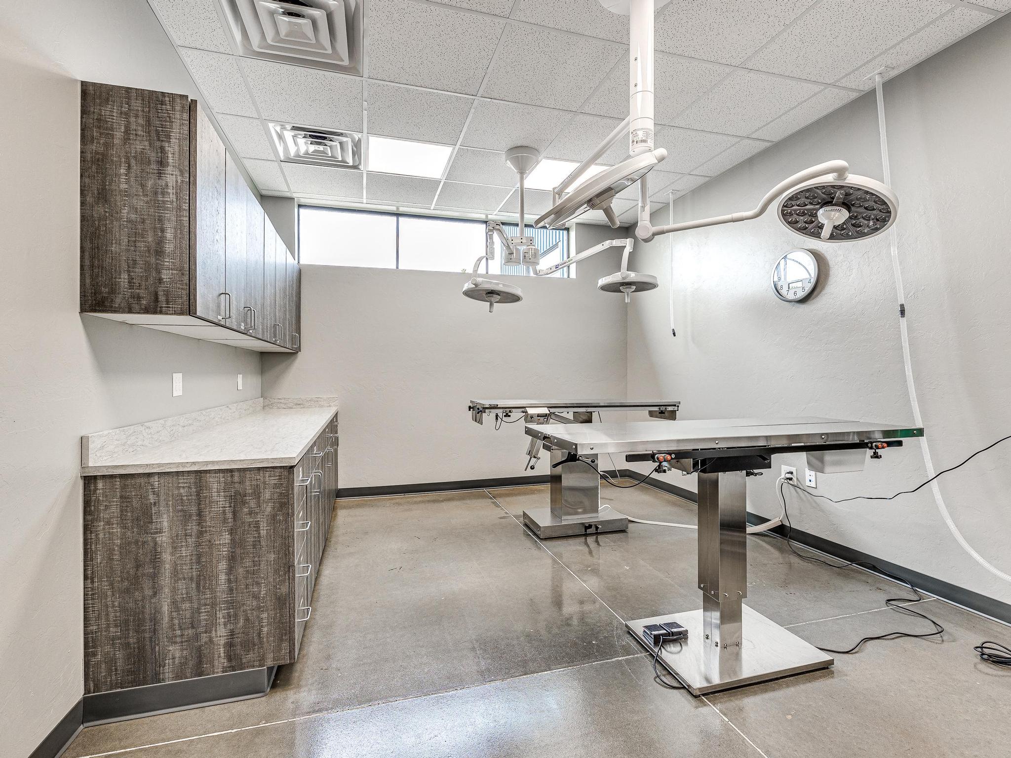 operating room at edmond east animal hospital