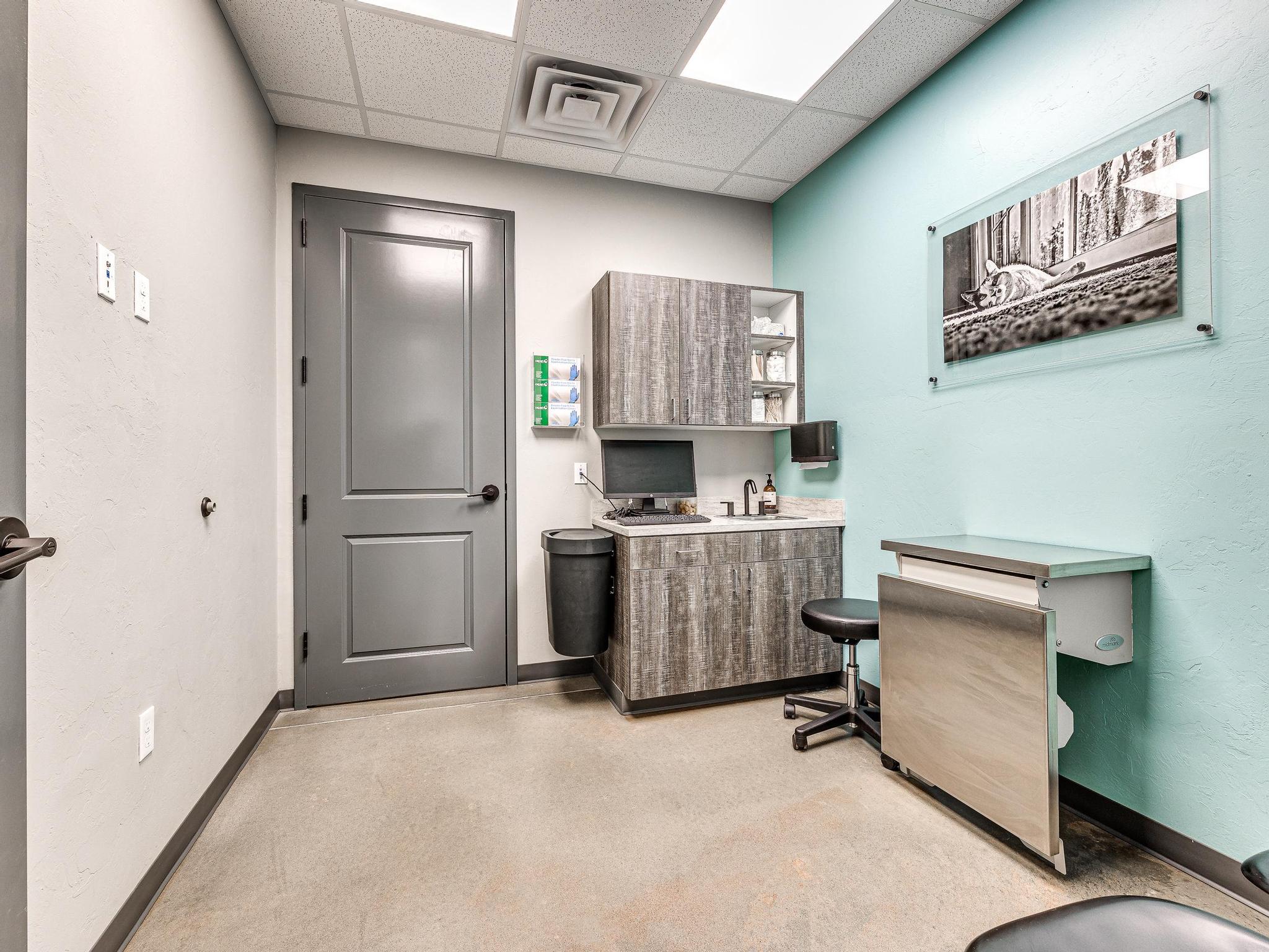 exam room At edmond east animal hospital