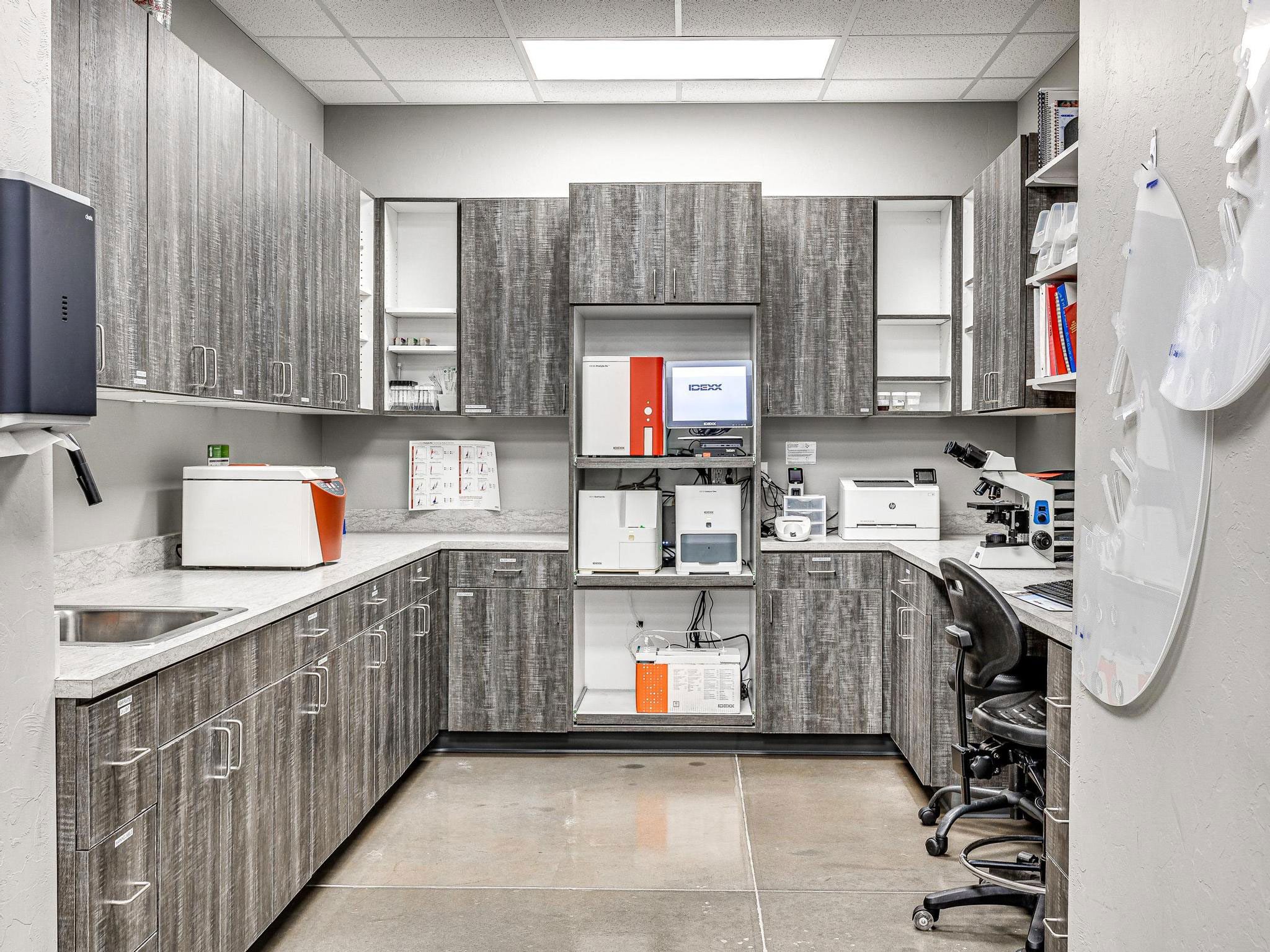 In House Lab At Edmond East Animal Hospital