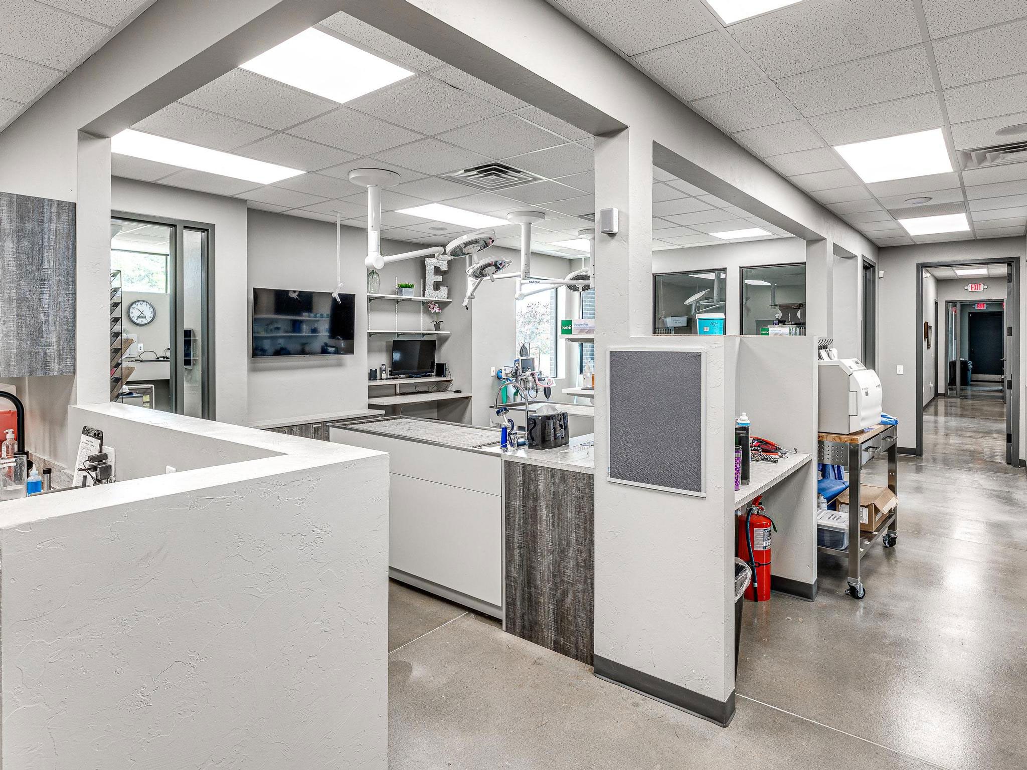 Side View Of Exam Room In Edmond East Animal Hospital