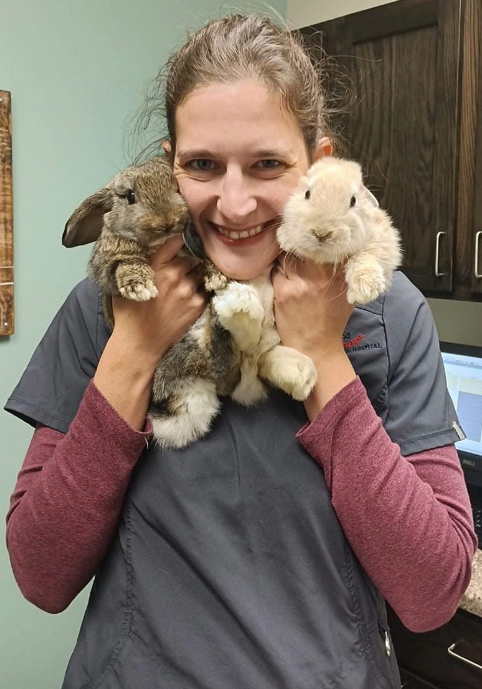 Dr V holding a brown and a beige bunny