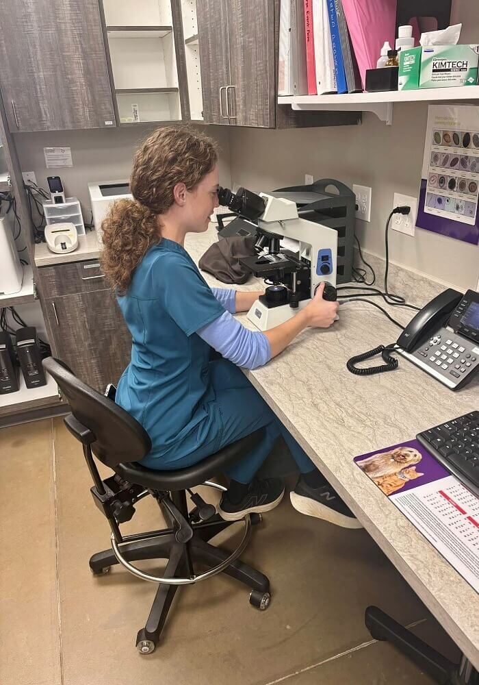 Veterinary Technician looking through a Microscope