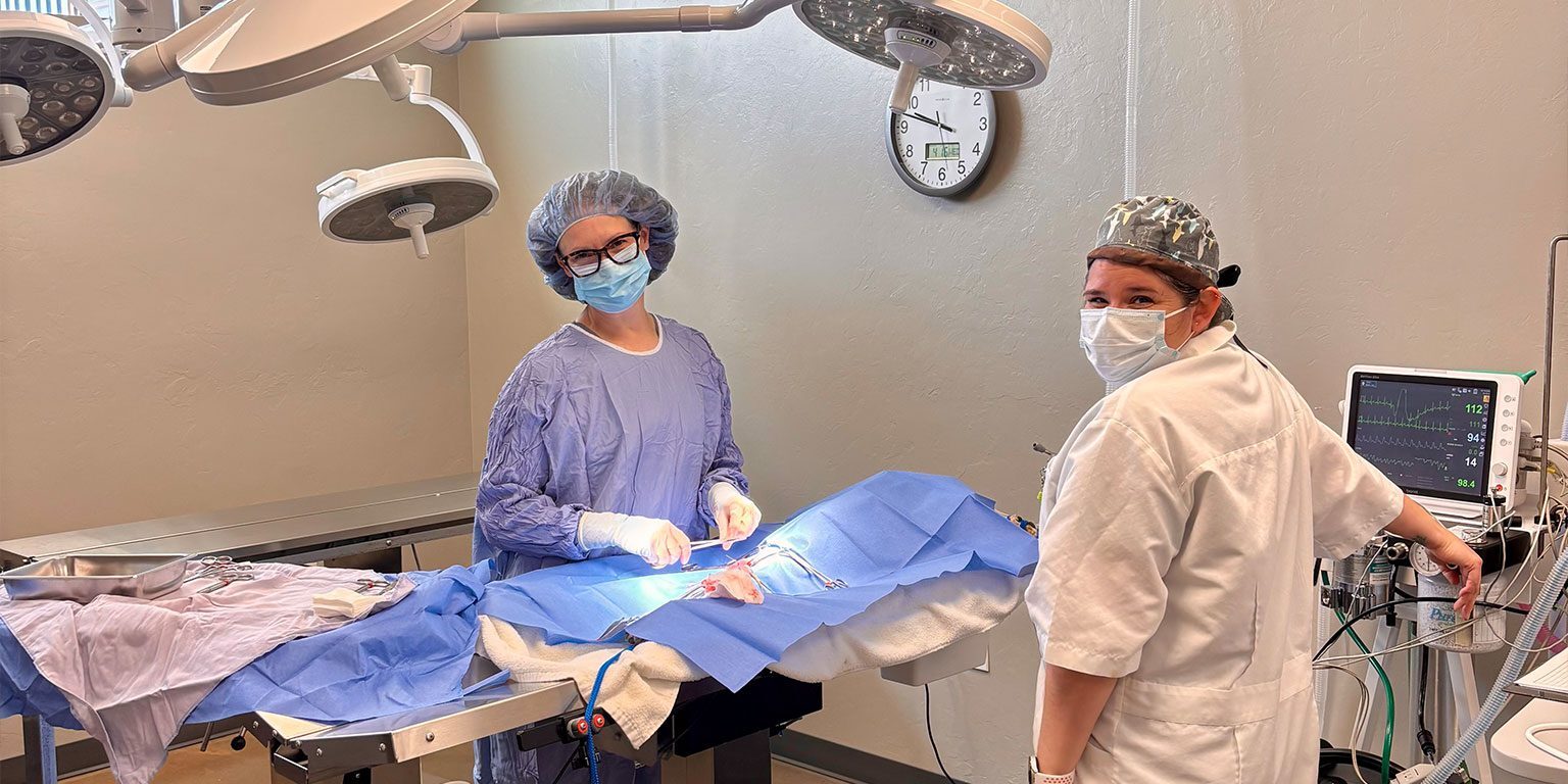 Doc and Assistant In Surgery